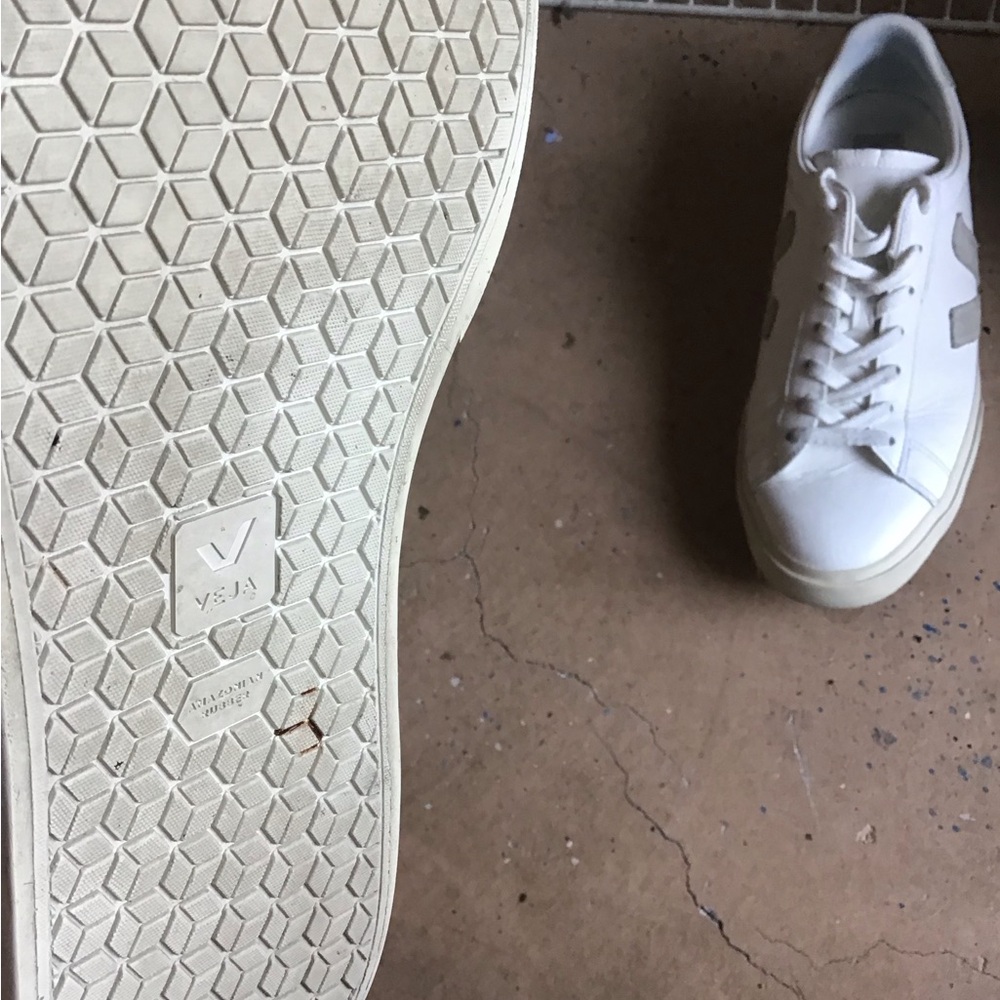 VEJA Campo Sneakers - Picture 5 of 5